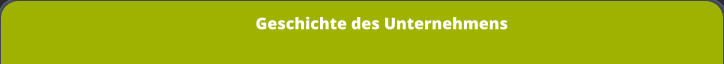 Geschichte des Unternehmens